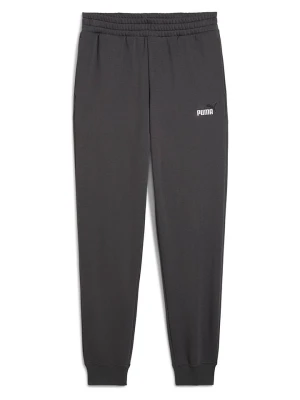 Puma Spodnie dresowe "Ess 2 Color No. 1 Logo" w kolorze szarym rozmiar: M
