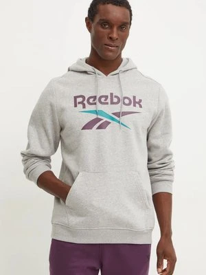 Reebok bluza męska kolor szary z kapturem z nadrukiem 100206026