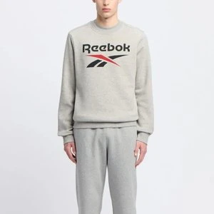REEBOK EU - Bluza Reebok Identity Big Logo, male, Medium Grey Heather/Vector Red, Size: