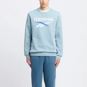 REEBOK EU - Bluza Reebok Identity Big Logo, male, Upgrade Blue, Size: