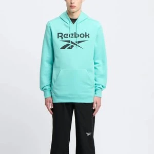 REEBOK EU - Bluza z kapturem Reebok Identity Big Logo, male, Ai Aqua, Size: