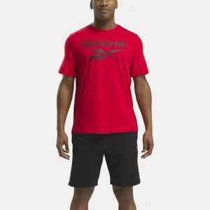 Reebok - Koszulka Reebok Identity Big Stacked Logo, male, Vector Red, Size: