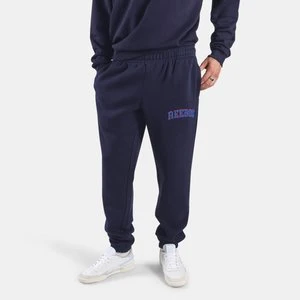 Reebok - Freshman Jogger Men's Pant, male, Vector Navy, Size: