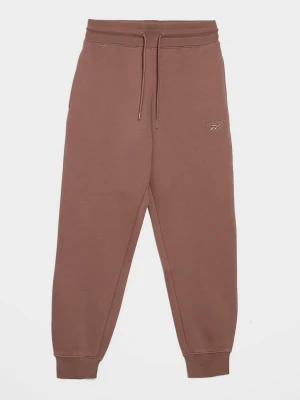 Reebok Spodnie Janni brązowy