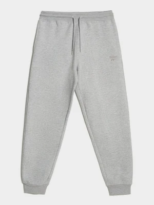 Reebok Spodnie Withers szary