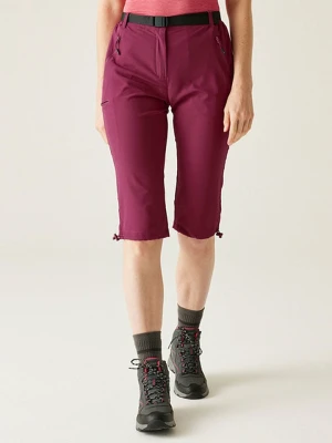 Regatta Bermudy funkcyjne "Xrt Light" w kolorze fioletowym rozmiar: 40