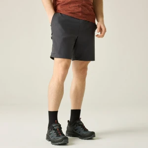 Regatta Buty męskie trekkingowe niskie z membraną Regen Vibram Brązowy