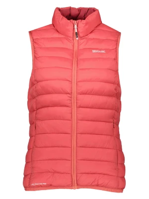 Regatta Kamizelka pikowana "Marizion" w kolorze koralowym rozmiar: 34