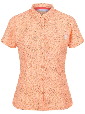 Regatta Koszula "Mindano VI" w kolorze pomarańczowym rozmiar: 40