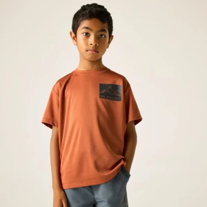 Regatta   Koszulka dziecięca Alvarado Czerwony, Rozmiar: