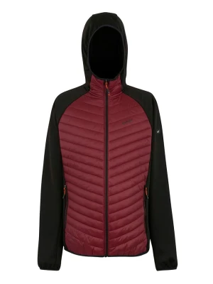 Regatta Kurtka hybrydowa "Andreson" w kolorze bordowym rozmiar: XXL
