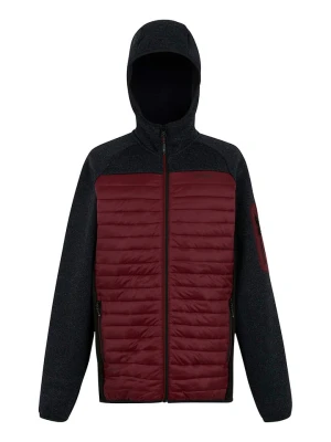 Regatta Kurtka hybrydowa "Newhill" w kolorze bordowym rozmiar: XL