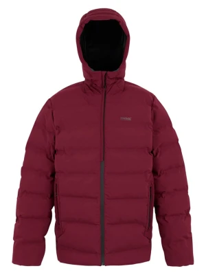 Regatta Kurtka pikowana "Altoro Thermal" w kolorze bordowym rozmiar: 3XL