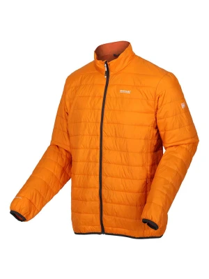 Regatta Kurtka pikowana "Hillpack" w kolorze pomarańczowym rozmiar: 3XL