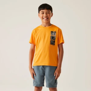 Regatta Regatta Koszulka dziecięca Alvarado IX Pomarańczowy, Rozmiar: