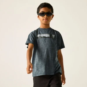 Regatta Regatta Koszulka dziecięca Alvarado Szary, Rozmiar: