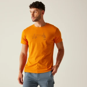 Regatta Regatta Koszulka męska Breezed V Pomarańczowy, Rozmiar: