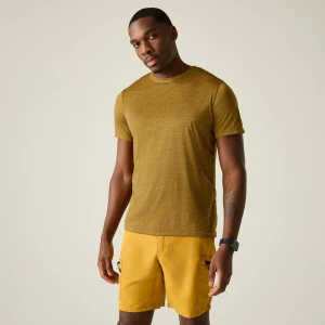 Regatta Regatta Koszulka męska Fingal Edition Brązowy, Rozmiar: