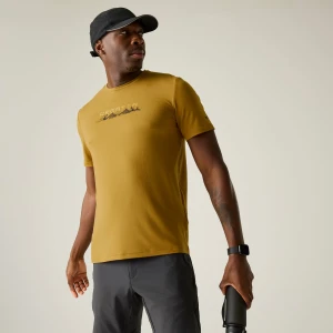 Regatta Regatta Koszulka męska Fingal Stretch Graphic Brązowy, Rozmiar: