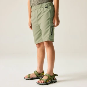 Regatta Regatta Spodenki dziecięce Sorcer III Zielony, Rozmiar: