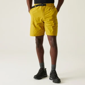 Regatta Regatta Spodenki męskie Mallen Żółty, Rozmiar:
