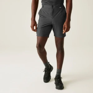 Regatta Regatta Spodenki męskie Travel Light Packaway przeciw insektom Szary, Rozmiar: