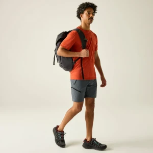 Regatta Regatta Spodenki męskie trekkingowe Xert Stretch Szary, Rozmiar: