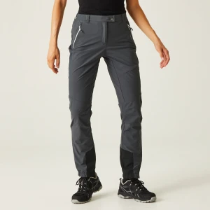 Regatta Regatta Spodnie damskie trekkingowe Mountain III Szary, Rozmiar: 44 | Krótkie