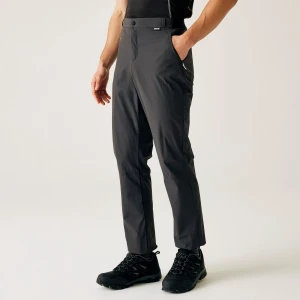 Regatta Regatta Spodnie męskie Travel Light Packaway przeciw insektom Szary, Rozmiar: