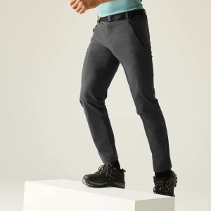 Regatta Regatta Spodnie męskie trekkingowe Xert Stretch Szary, Rozmiar: