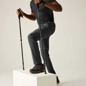 Regatta   Spodnie męskie cargo Travel Light przeciw insektom Szary, Rozmiar: