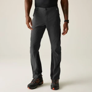 Regatta   Spodnie męskie trekkingowe Mountain Szary, Rozmiar: