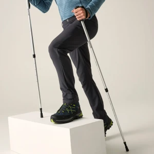 Regatta Spodnie trekkingowe męskie Geo Softshell Szary