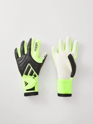 Rękawice bramkarskie adidas performance