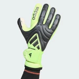 Rękawice bramkarskie Copa Pro Adidas