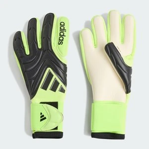 Rękawice bramkarskie dla dzieci Copa Pro Goalkeeper Adidas
