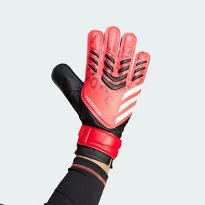 Rękawice Predator Training Goalkeeper Adidas