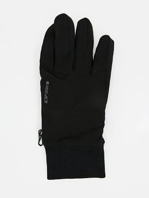 Rękawiczki pięciopalcowe icepeak