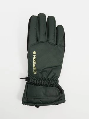 Rękawiczki pięciopalcowe icepeak