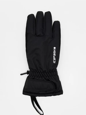 Rękawiczki pięciopalcowe icepeak
