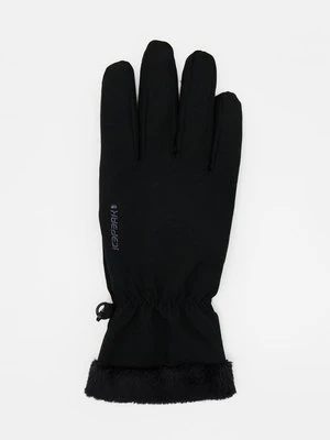 Rękawiczki pięciopalcowe icepeak