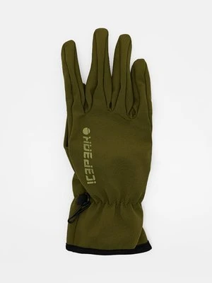 Rękawiczki pięciopalcowe icepeak
