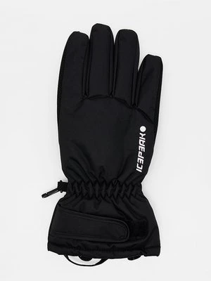 Rękawiczki pięciopalcowe icepeak