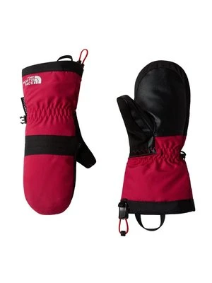 Rękawiczki z jednym palcem The North Face