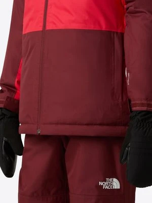 Rękawiczki z jednym palcem The North Face