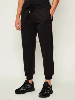 Replay Spodnie dresowe POLY | Regular Fit
