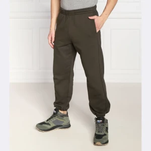 Replay Spodnie dresowe | Regular Fit