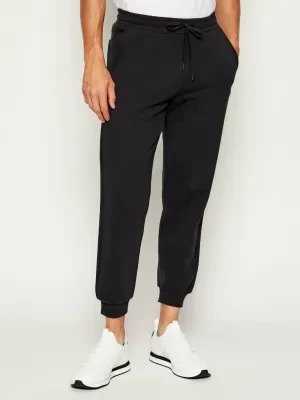 Replay Spodnie dresowe | Regular Fit