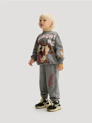 Reserved - Bawełniany komplet Looney Tunes - ciemnoszary