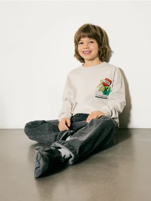 Reserved - Longsleeve Minecraft - jasnoszary